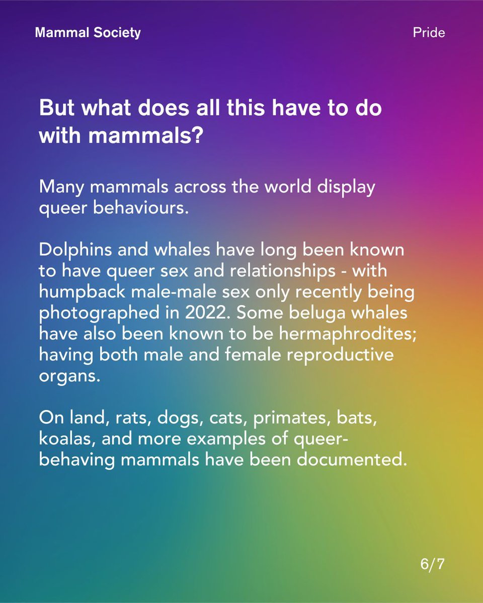 June is pride month, so we're exploring the world of queer mammals - and what better way to start than with a brief introduction to queer ecology!

#ecology #conservation #nature #pride #mammals #pridemonth #queerecology #wildlife

Photo credits: Canva. Rat: Roy Rimmer