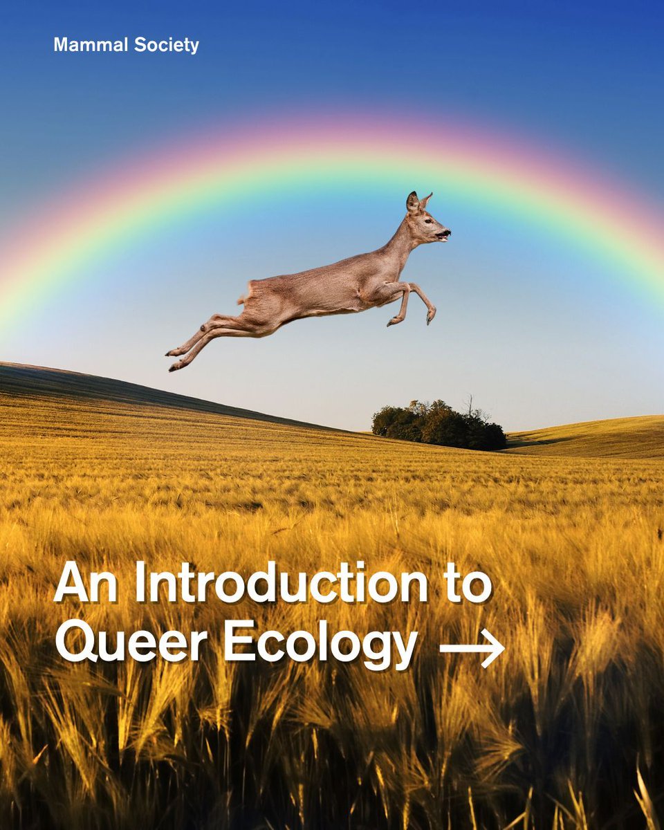 Mammal_Society tweet picture