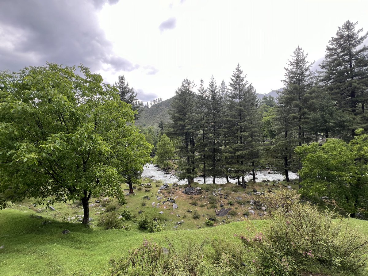 muzamil_toori's tweet photo. یہ آزادُجموں کشمیر کی لیپہ ویلی ہے ۔ خوبصورتُ جنت نظیر #Leepa #AJK #Nature #mhtoori https://t.co/h0kyX8CysE