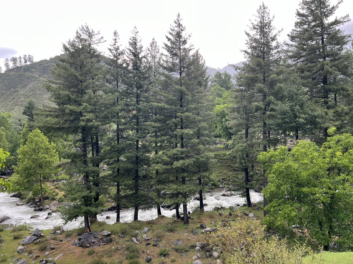 muzamil_toori's tweet photo. یہ آزادُجموں کشمیر کی لیپہ ویلی ہے ۔ خوبصورتُ جنت نظیر #Leepa #AJK #Nature #mhtoori https://t.co/h0kyX8CysE