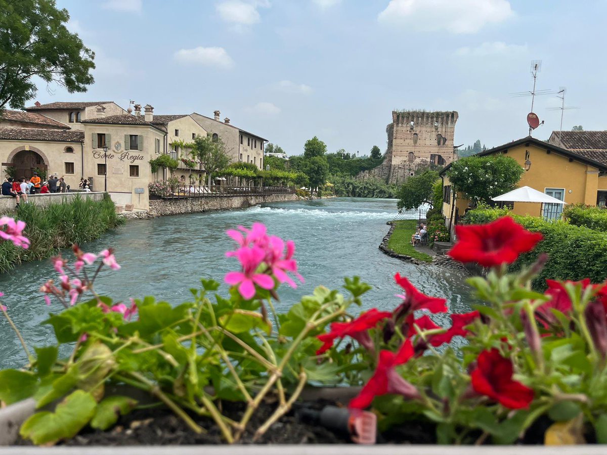 Dalziel HID tweet media