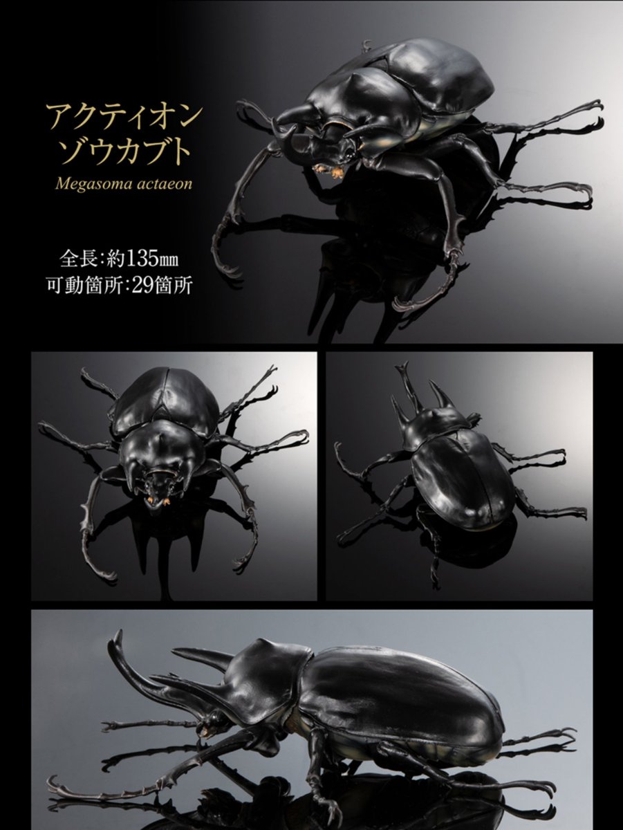 いきもの大図鑑アドバンス『ゾウカブトとヘラクレスオオカブト』 実物