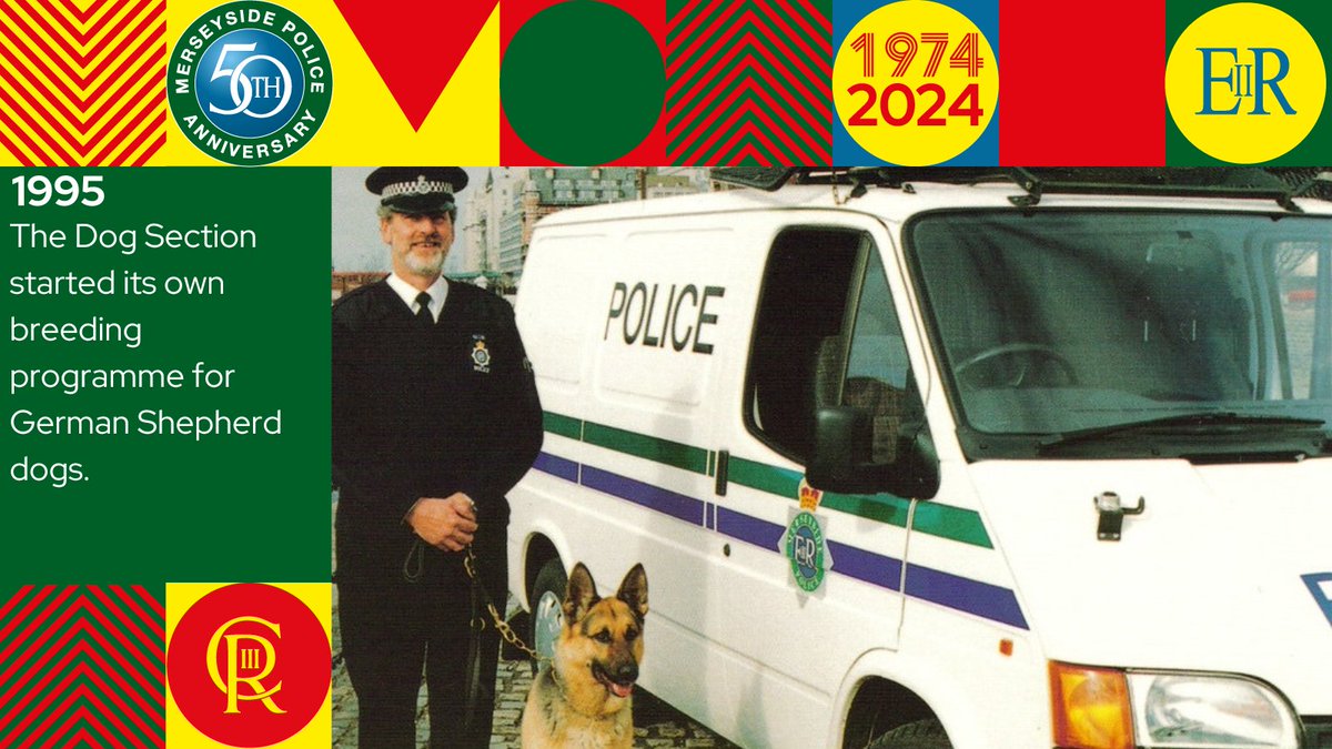 MerseyPolice's tweet photo. In 1995 our Dog Section started its own breeding programme for German Shepherds 🐶
The first litter was called the A litter & the last litter, the Z litter, were born on 11th July 2022!
Our dogs will always be an important and valued part of the force 🤩
@MerPolDogs #MP50 https://t.co/n8tiLpVWU0