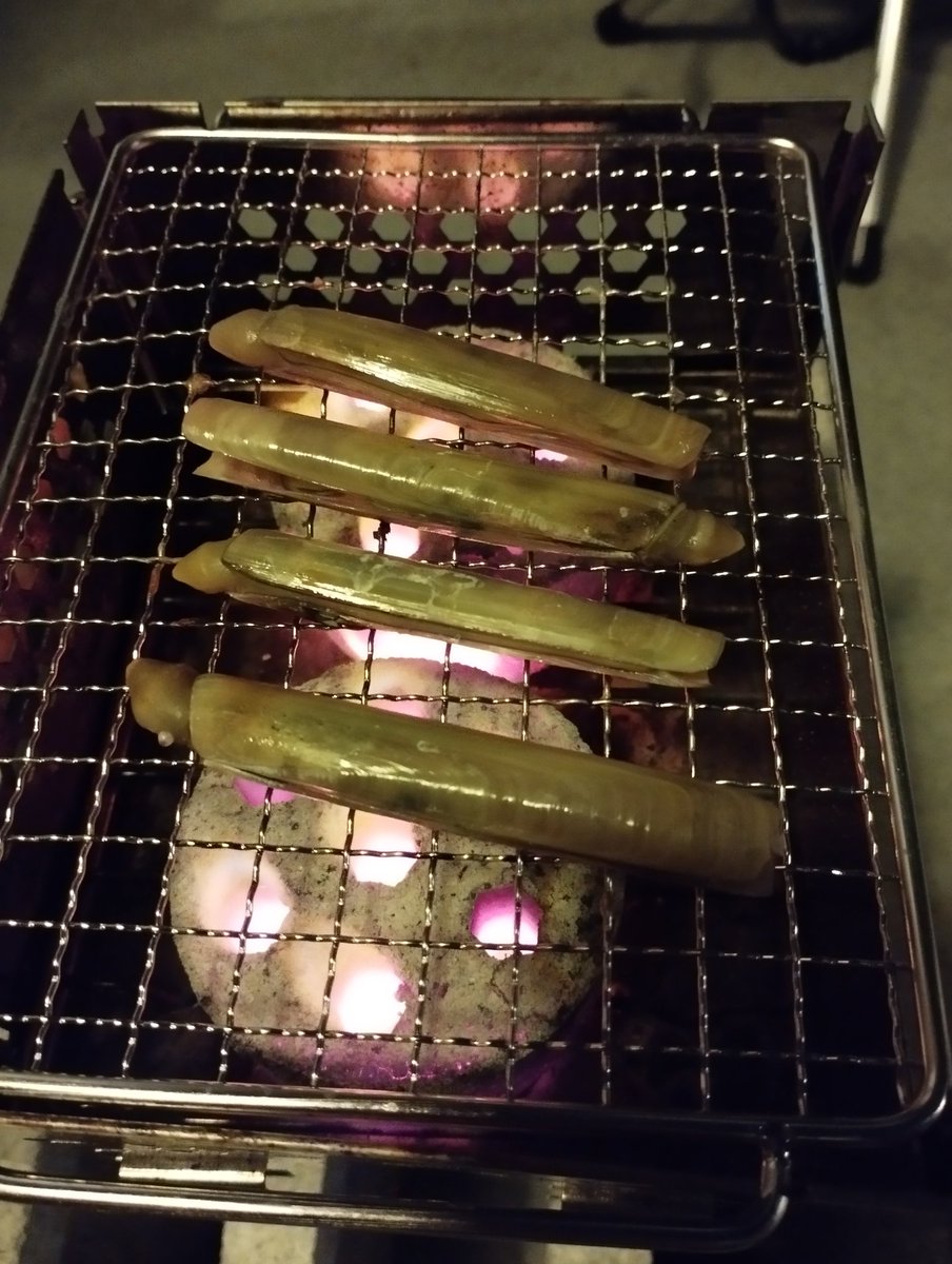 doinichan's tweet photo. ベランダBBQ、今日採ったマテ貝メインで軽くね https://t.co/4GYJi05kL7