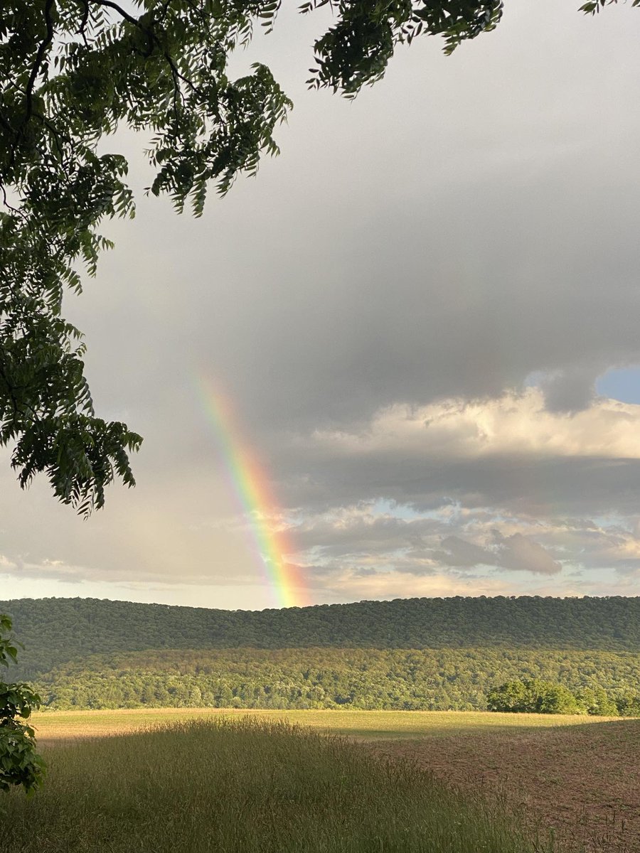 Elysawareness's tweet photo. From a friend in PA (where I lived for a bit).
#operationrainbow https://t.co/rq7prEHbnk