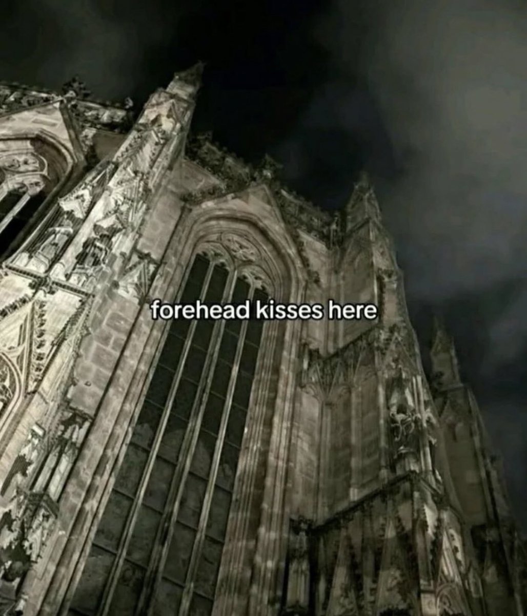 whotfisjovana's tweet image. 