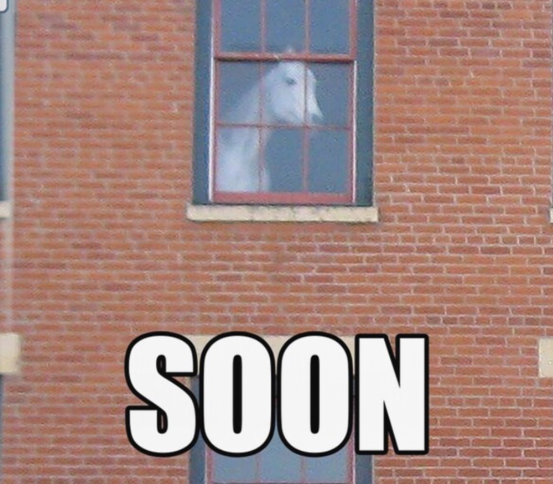 Roofus 4️⃣ The PPL (@BonnaRoofus) on X