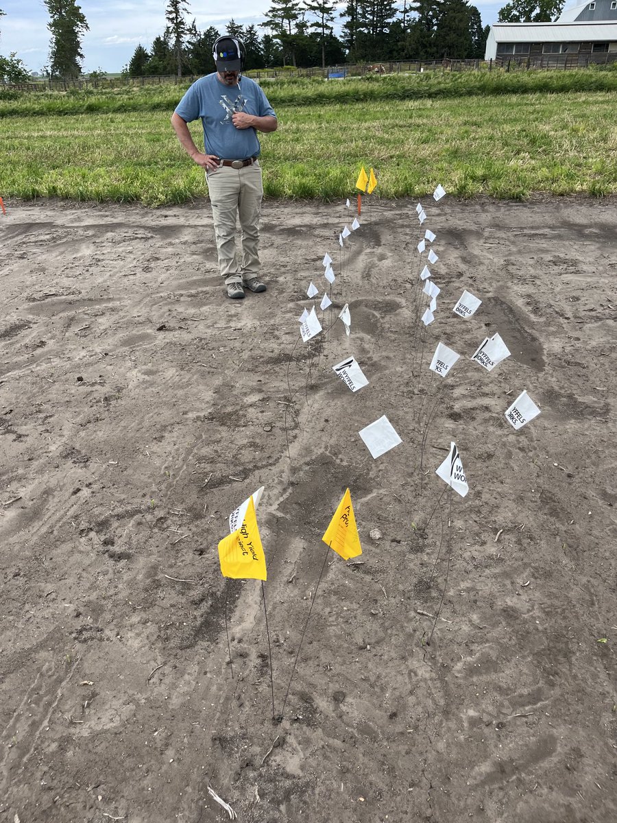 5 days emergence flags    Corn can really take off if planted in warm moist soils!!