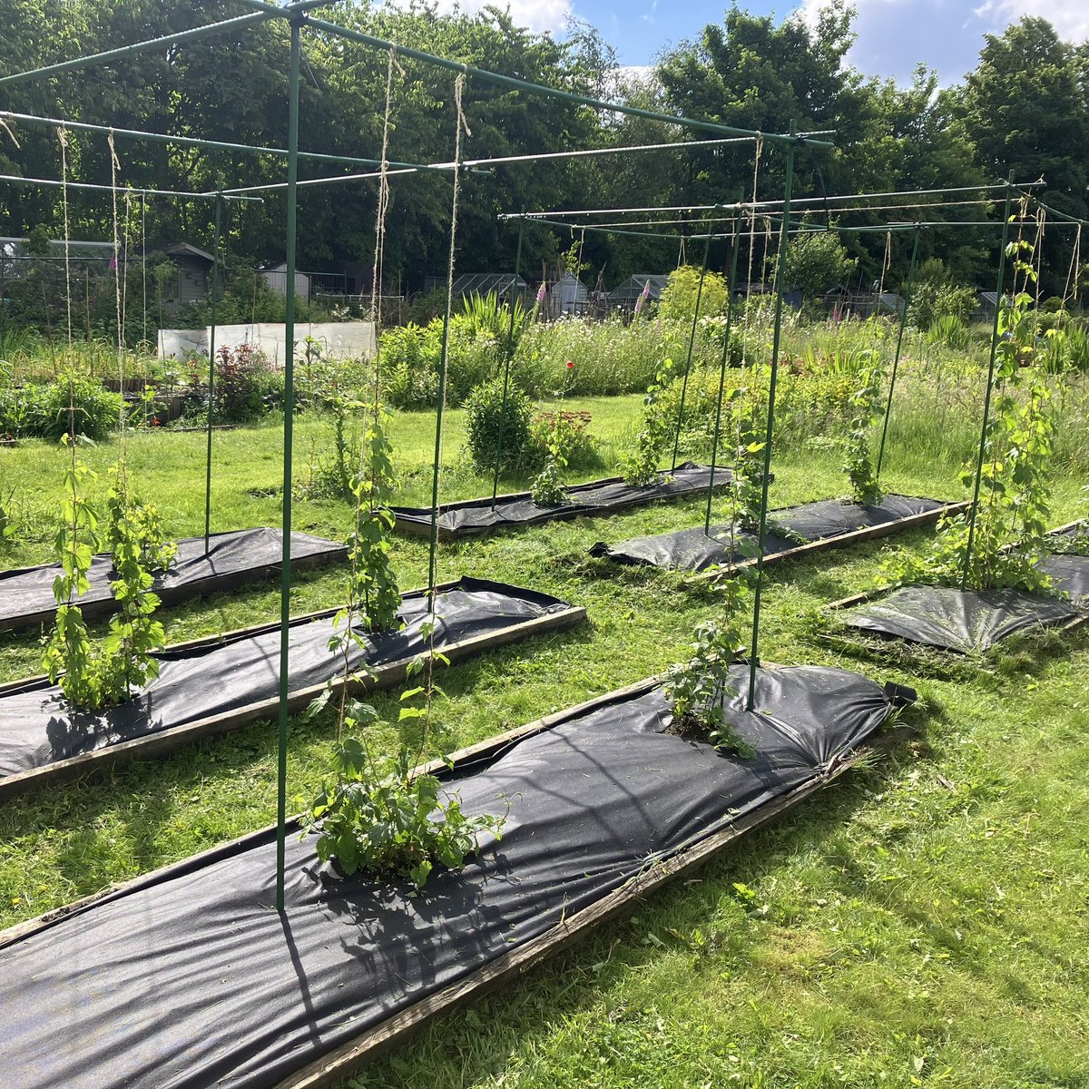 Craft Brewtique tweet media