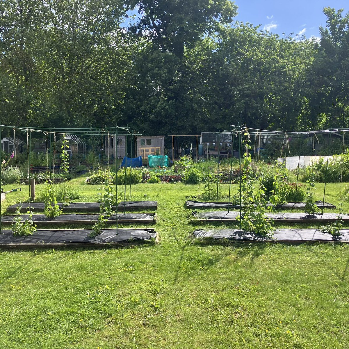 Craft Brewtique tweet media