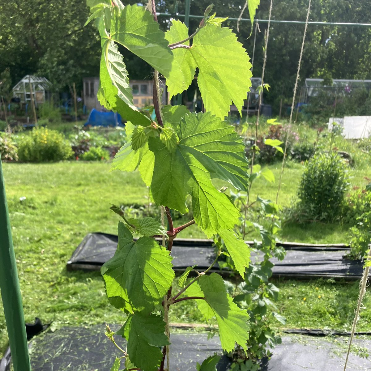 Craft Brewtique tweet media