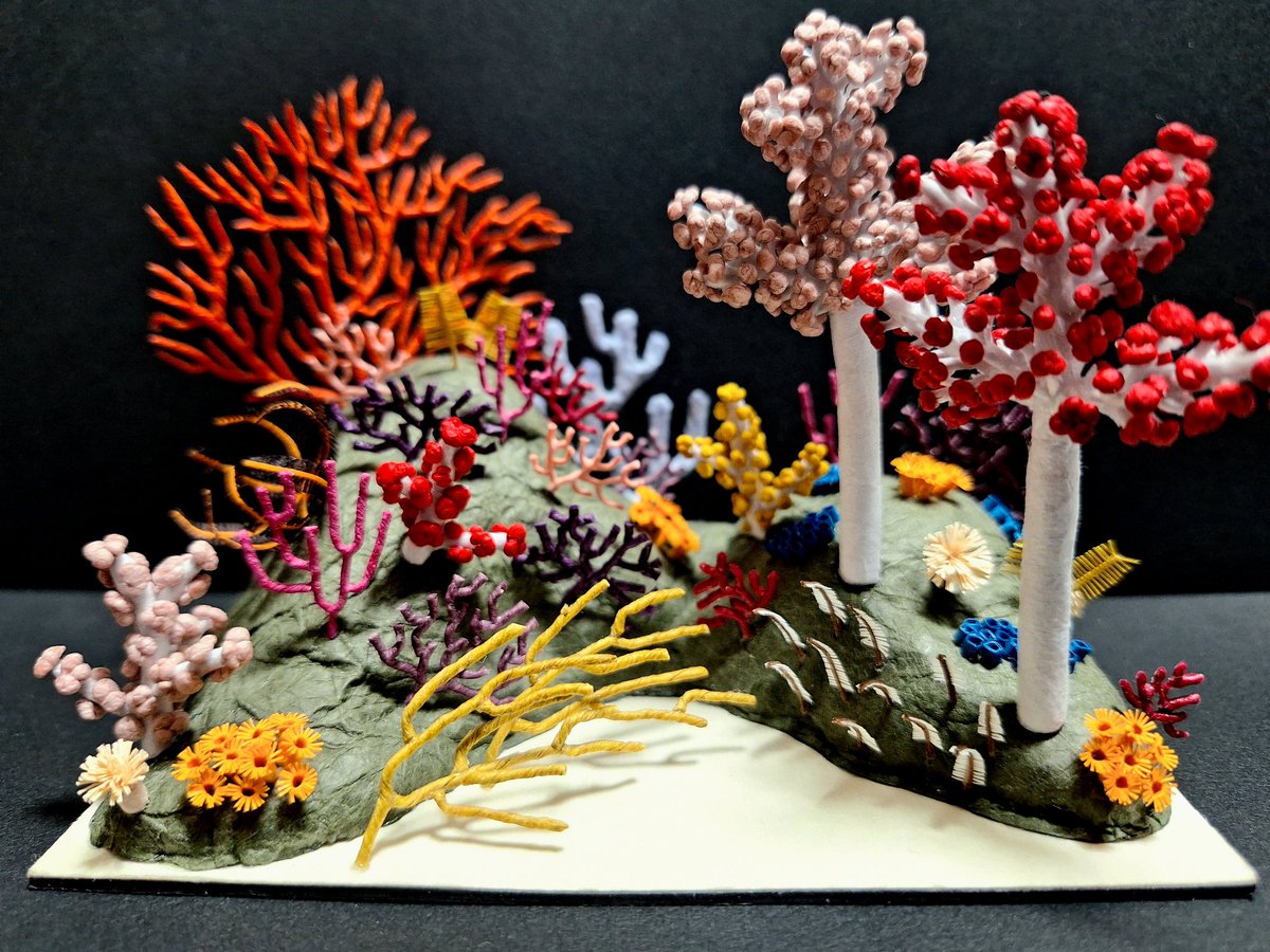 1031(いちまる) tweet media