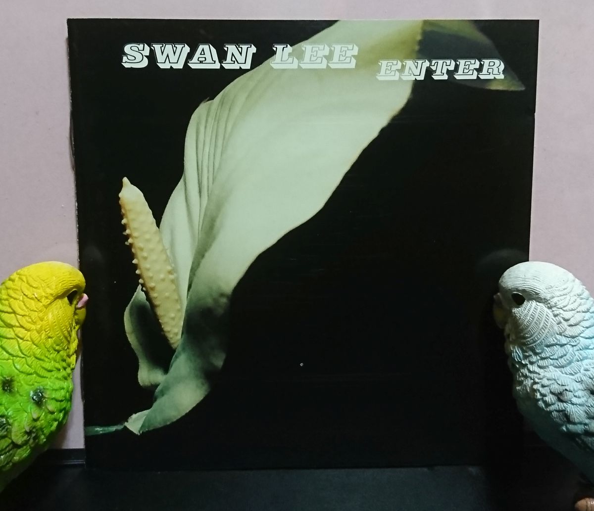 KuniyanBudgie's tweet photo. 今夜の1枚目
#NowPlaying️ #なうぷれ
SWAN LEE 🇩🇰 『ENTER』(2001/2002)
↓ 「Tomorrow Never Dies」
https://t.co/0ZZyVm6mDN
#SWANLEE https://t.co/aaseX5Z1N3