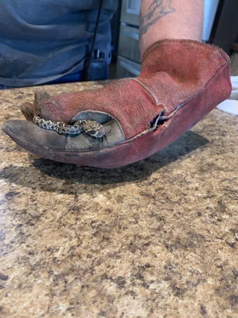 Bill Bair tweet media