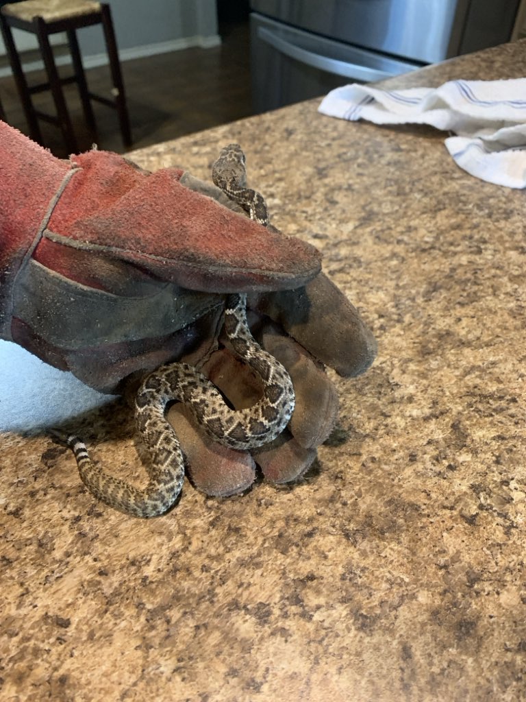 Bill Bair tweet media