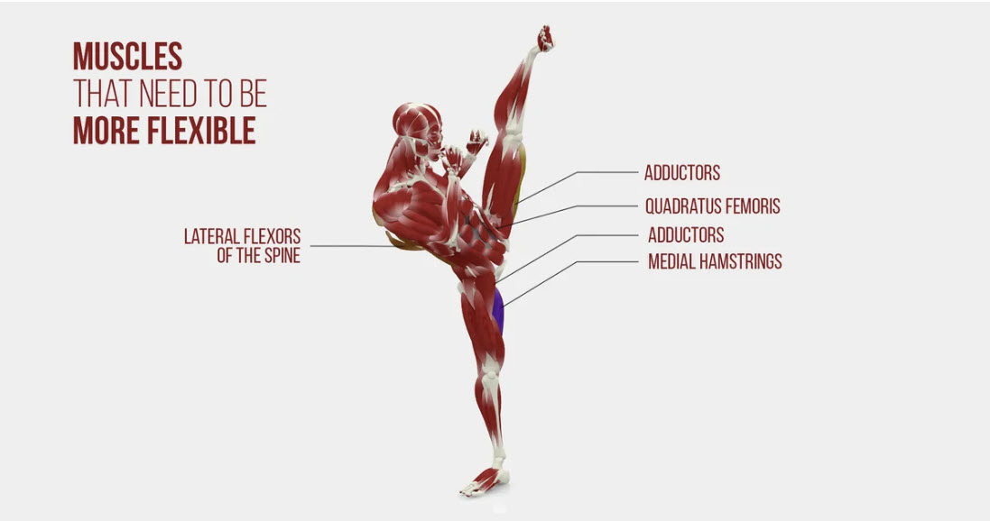 EasyFlexibility's tweet image. 12 years of exploring kick kinesiology &amp;amp; biomechanics 🥋 Why does your kick differ from your Master&apos;s? Today, I reveal the secrets. #KickingDynamics #MartialArts elasticsteel.com/blogs/the-scie…