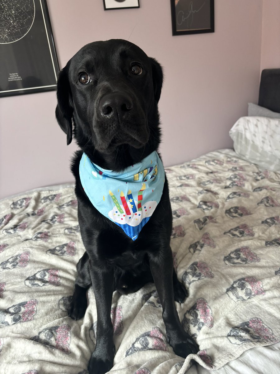 it's my birthday 💅