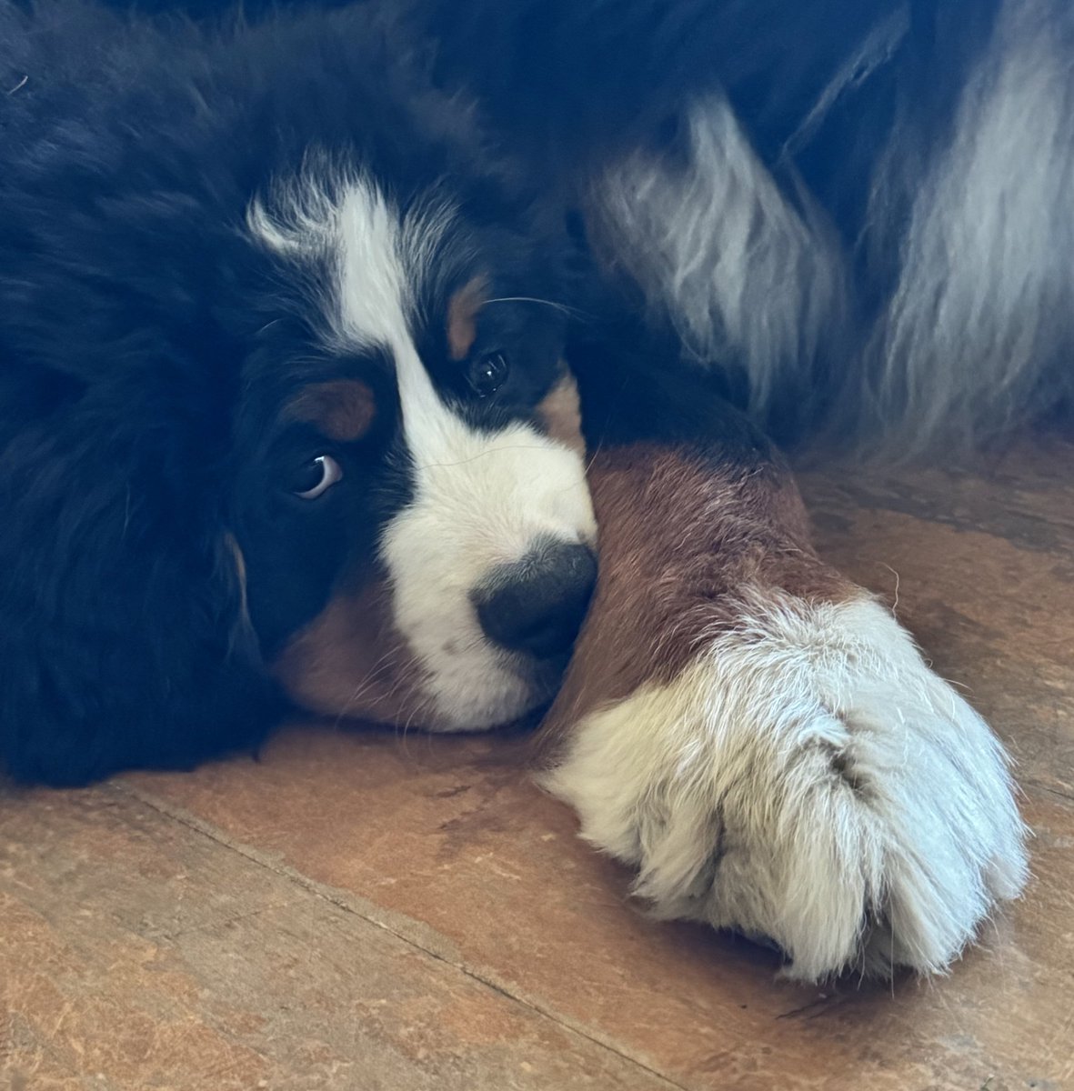 OMG ❤️
