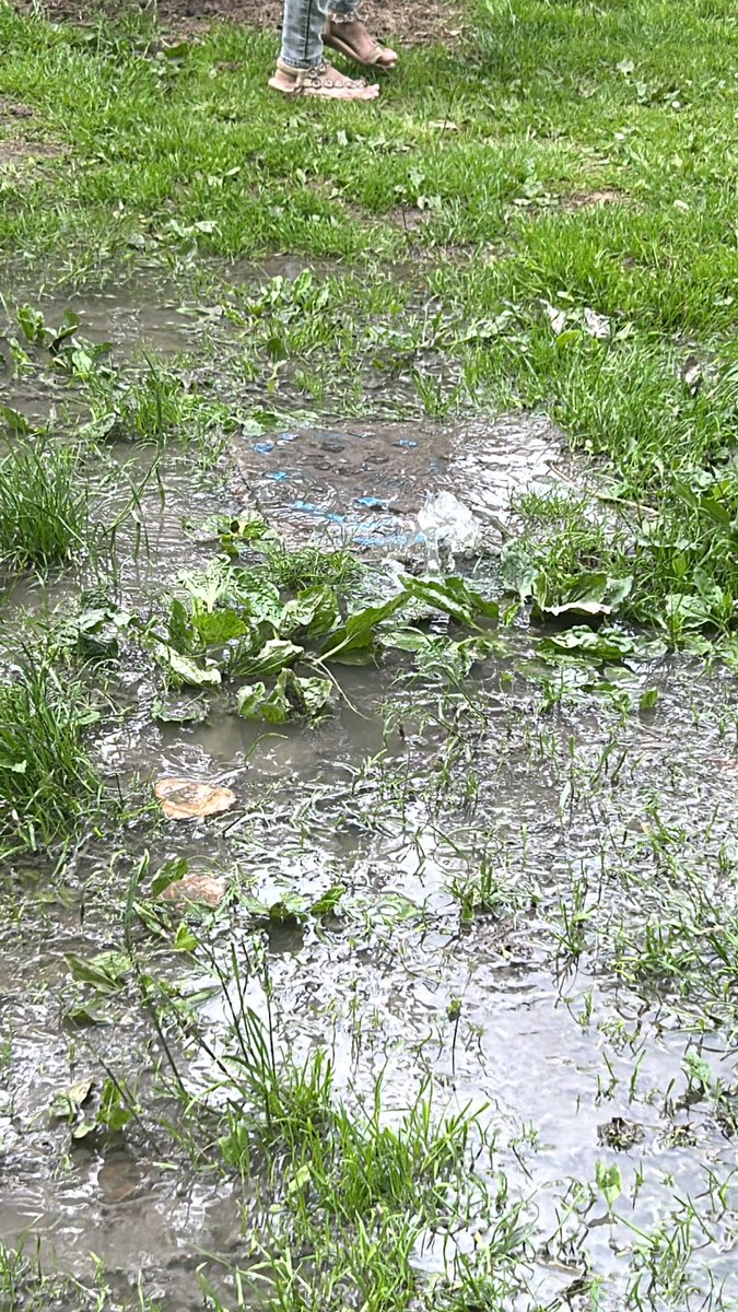 mrgsoton's tweet photo. @SouthernWater looks like a leak over Fleming park by the river https://t.co/lklXNcF4u0