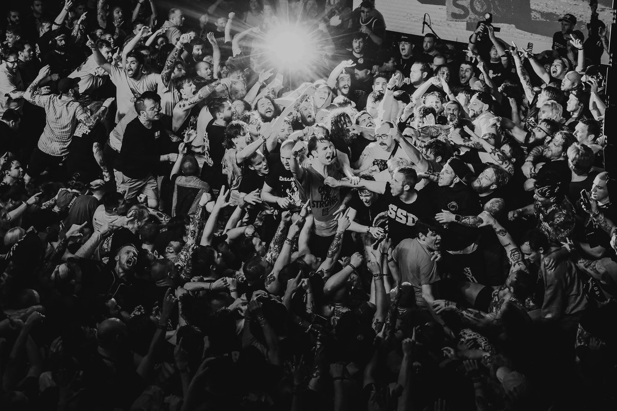 Heather Vaught tweet media