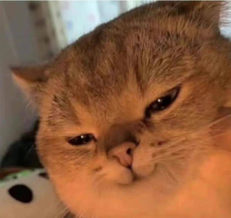 人不會一直都始終如一
唯一不變的就是什麼都在變

就像是女森偶爾
還是會有想收屌照的時候（？）