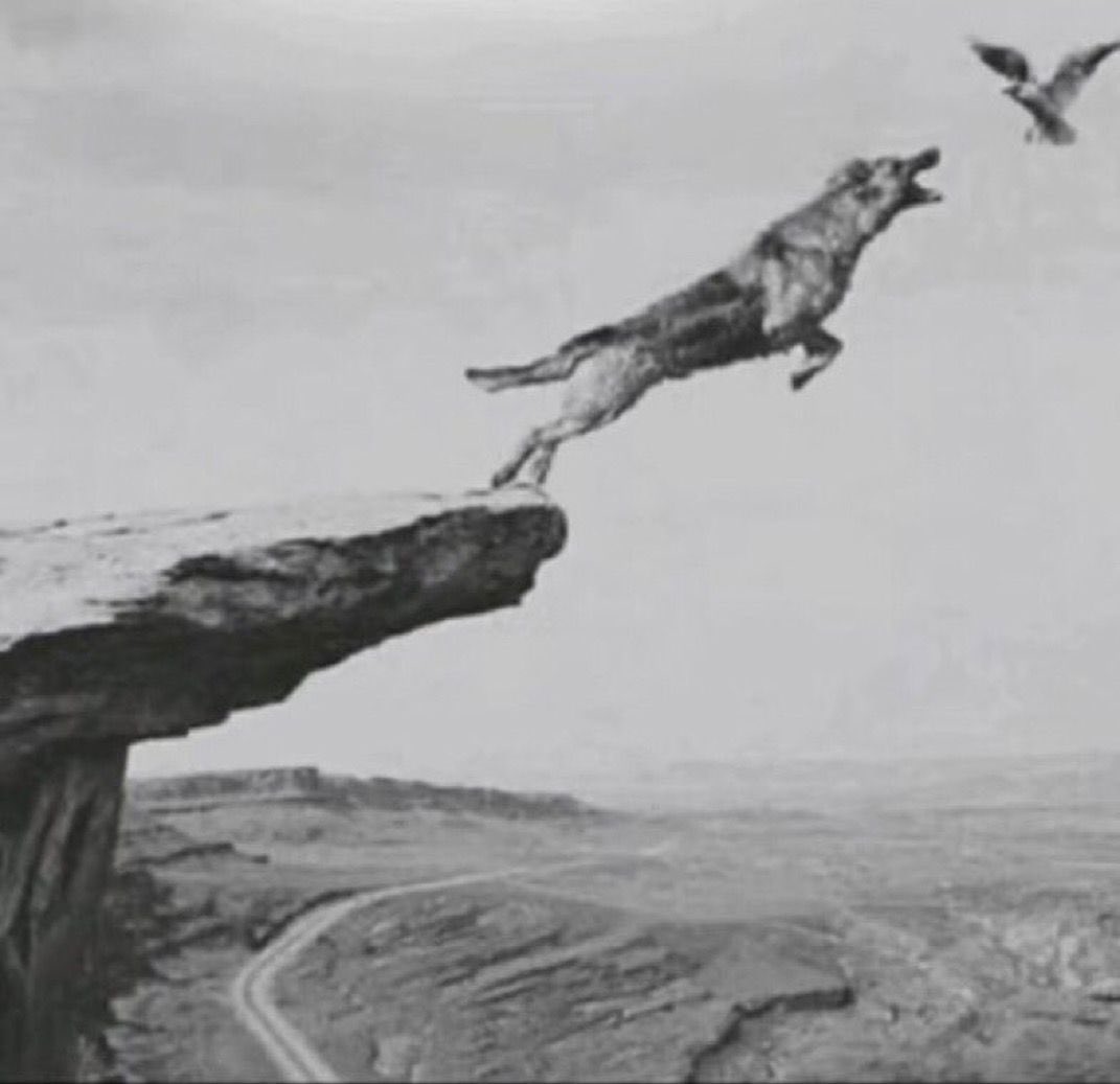 ‎᷂وزن | WZN tweet media