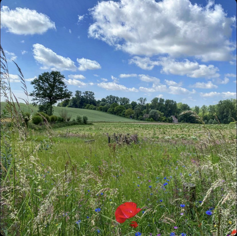 EMeirsch's tweet photo. #vrtweer #lennik #mountainbike 11u00 https://t.co/DL1NdjMnm3