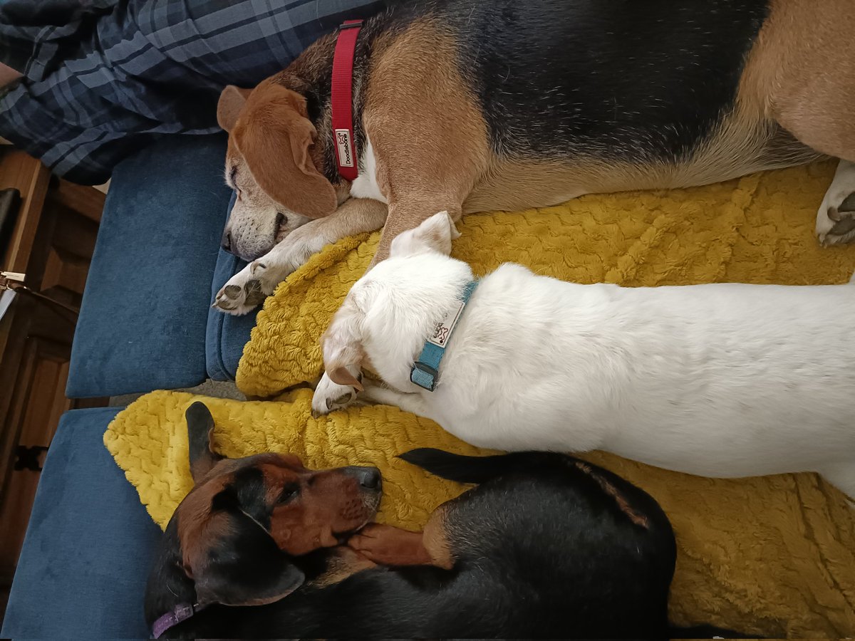 Gill Bennett tweet media