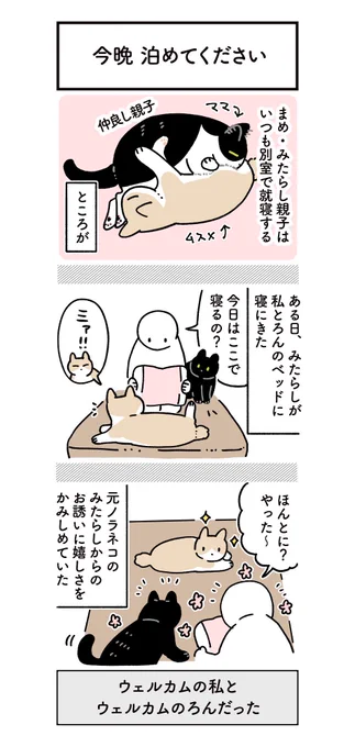 みたらしがはじめて一緒に寝ようとベッドに来てくれたときの絵日記です🐱幸せな夜、恐怖の朝ー…… (1/2) 