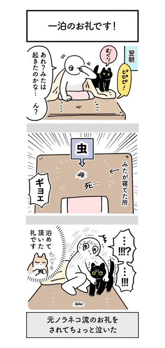 善意100% (2/2) 