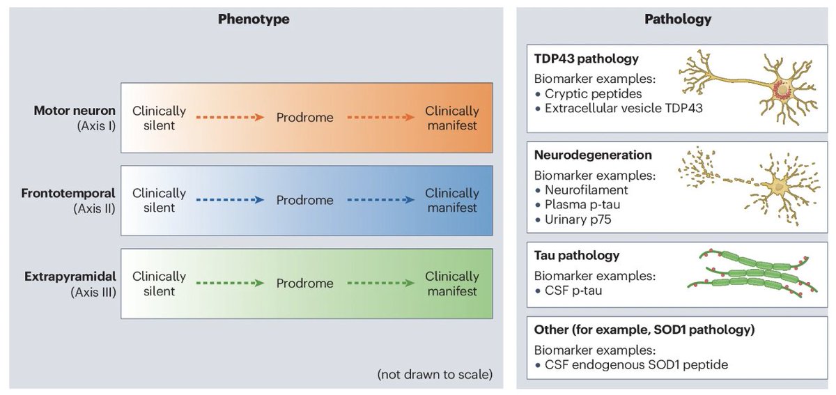 MichaelOkun's tweet image. Looking for an integrated view of ALS and related neurodegenerative disorders from phenotype to biology? Look no further as Benatar and colleagues provide a terrific new paper on &apos;The Miami Framework&apos; in @NatRevNeurol.
Key Points:  
- Many neurodegenerative and movement disorders…