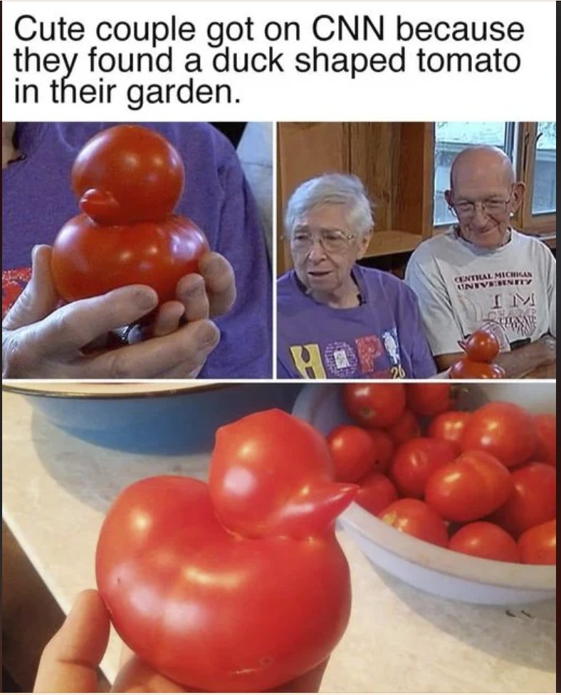 Respectful Memes (@respectfulmemes) on Twitter photo 