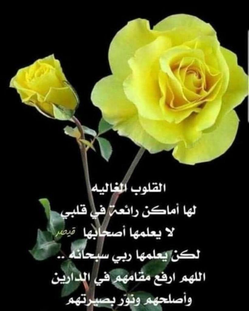 بسمة امل (@basmah201611) on Twitter photo 