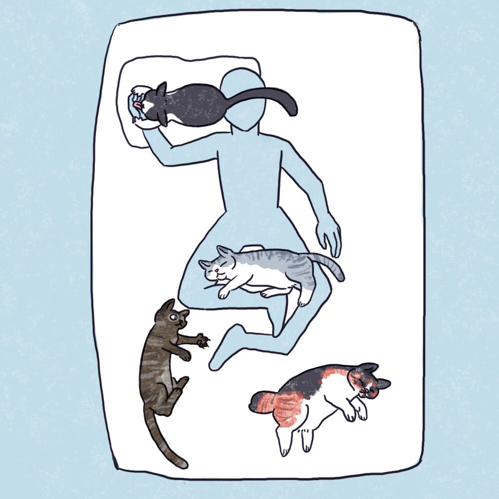 最近の睡眠環境です。

でも朝には一人ぼっち……… 
