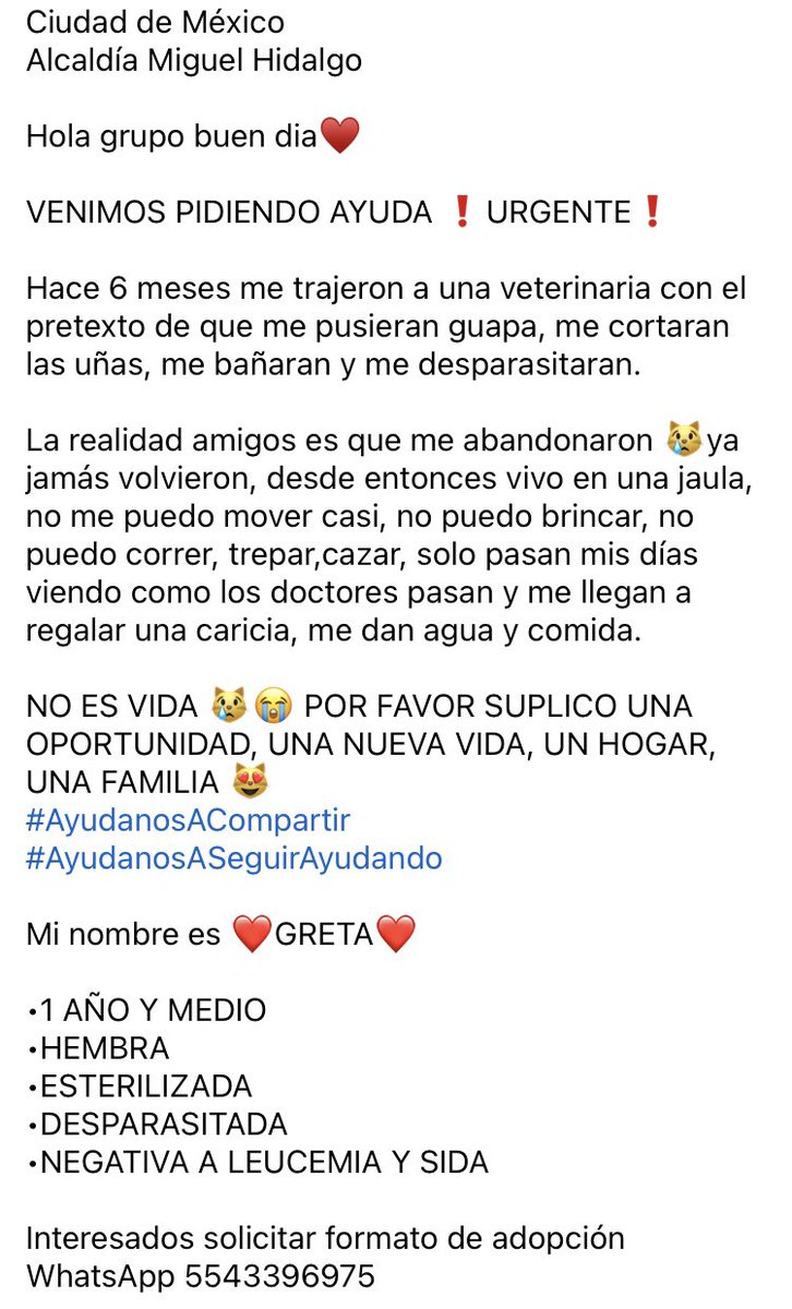 Gina Romero tweet media