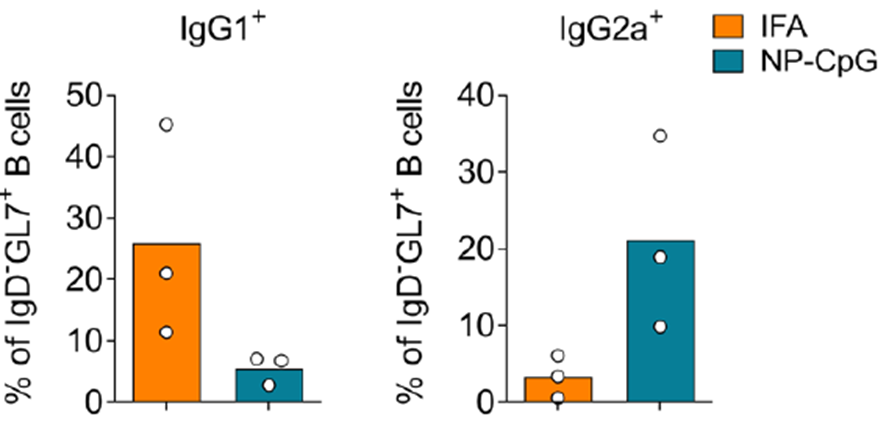 Luis Graca tweet media