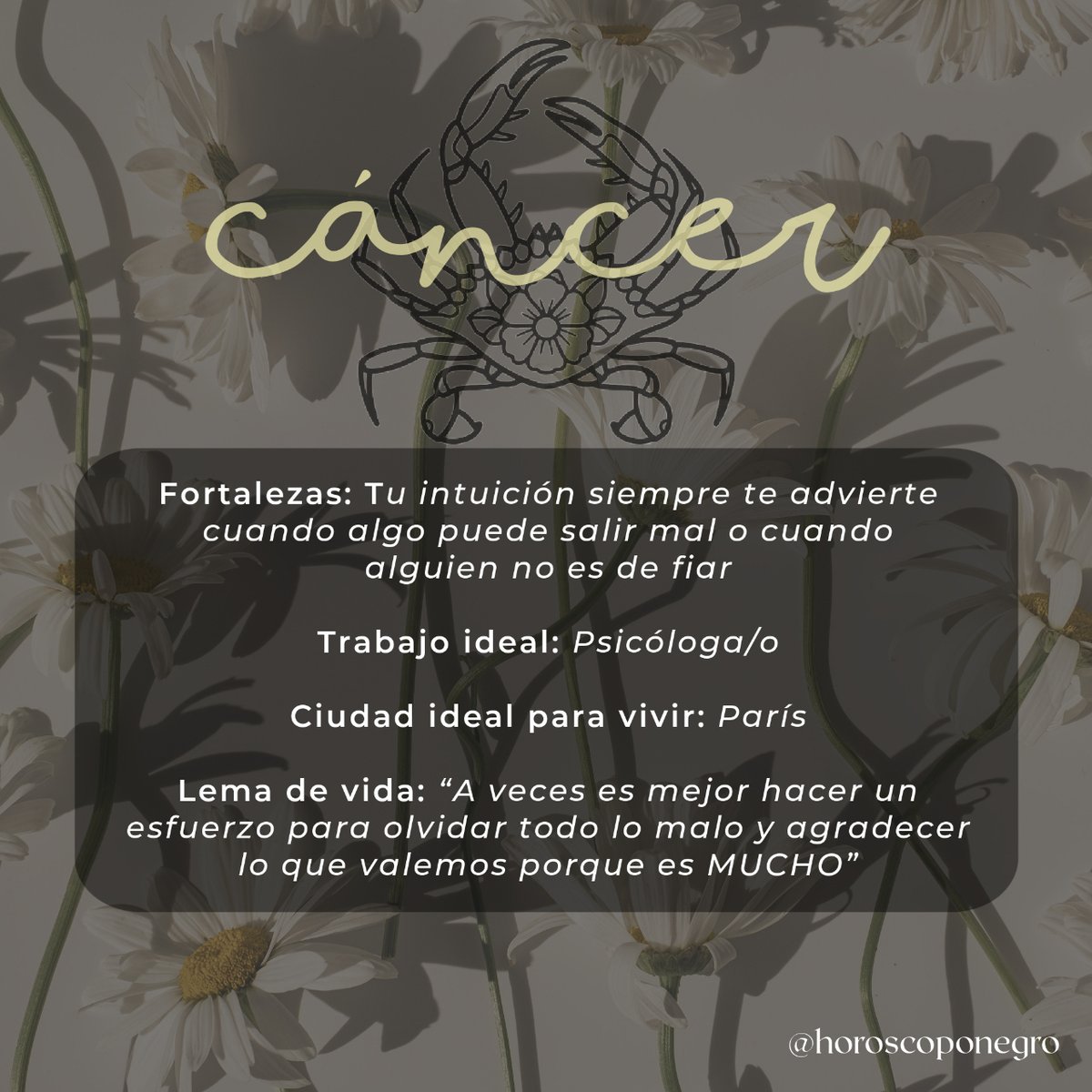 Pequeños datos interesantes sobre Cáncer ✨🔮✨