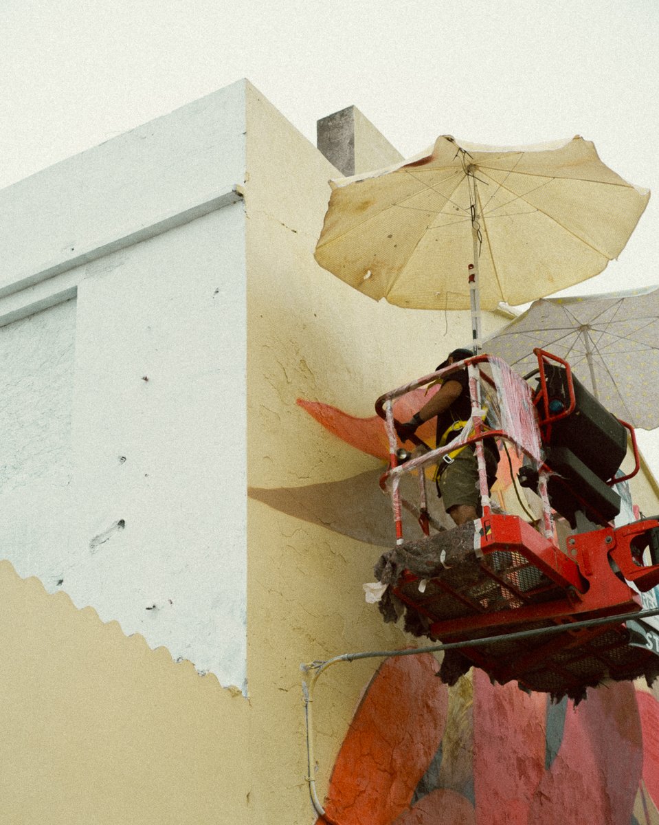 Rexenera Fest tweet media