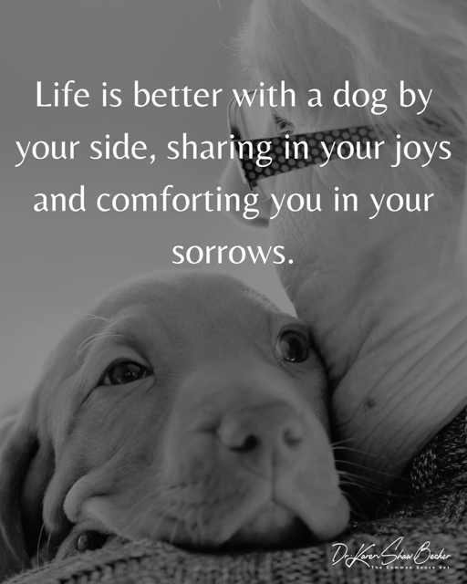 HWAHSeniorPets's tweet photo. #SaturdayStarter #HWAH
(courtesy of Dr. Karen Becker) https://t.co/3QFHJshWFC