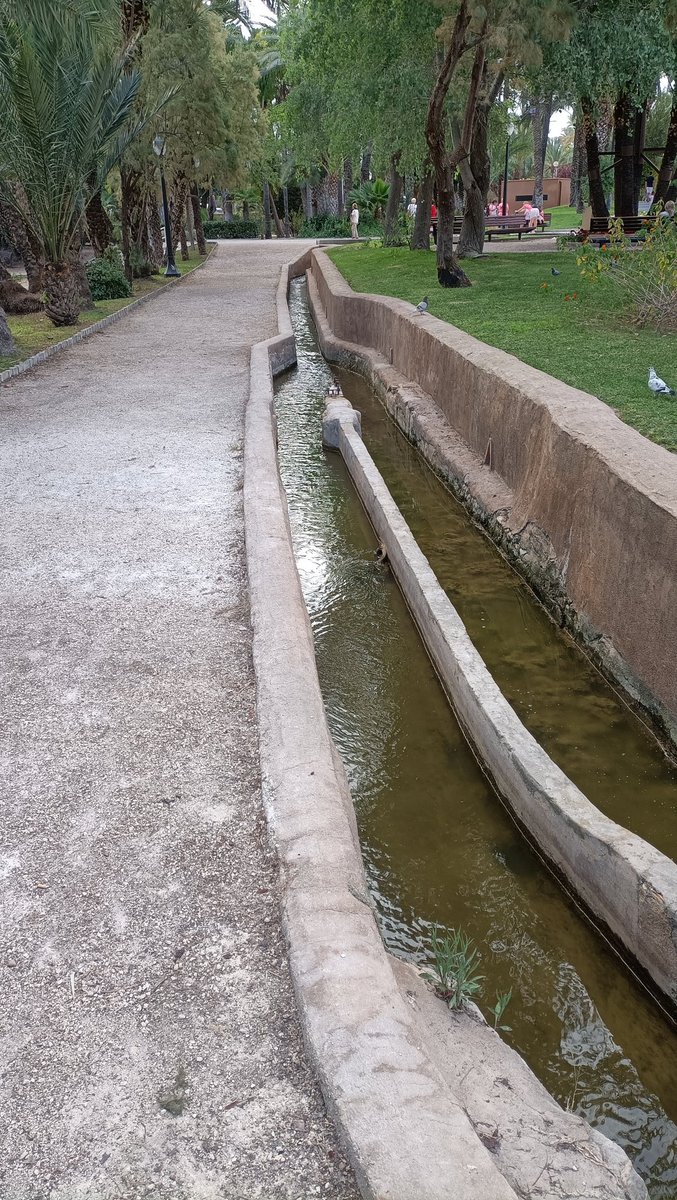 huermur's tweet photo. ¿Tener enormes espacios verdes dentro de una ciudad sin usar hormigón es posible? SÍ 

#Murcia no tiene nada así porque @AytoMurcia no quiere, y la huerta se la está cargando con un PGOU devastador. 

Esto te hará pensar qué pijo están haciendo en Murcia

HILO 🧵 Palmeral #Elche https://t.co/b2krroyqlx