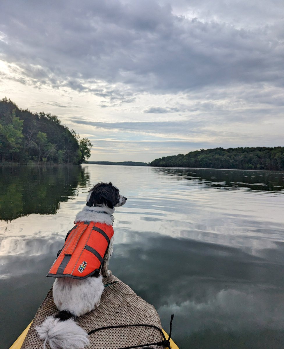 Me and my co-captain welcoming this gorgeous Saturday. Go make it a great one and chase the daylight! #piercypriestlake #zentime #gratitude #peacewithin