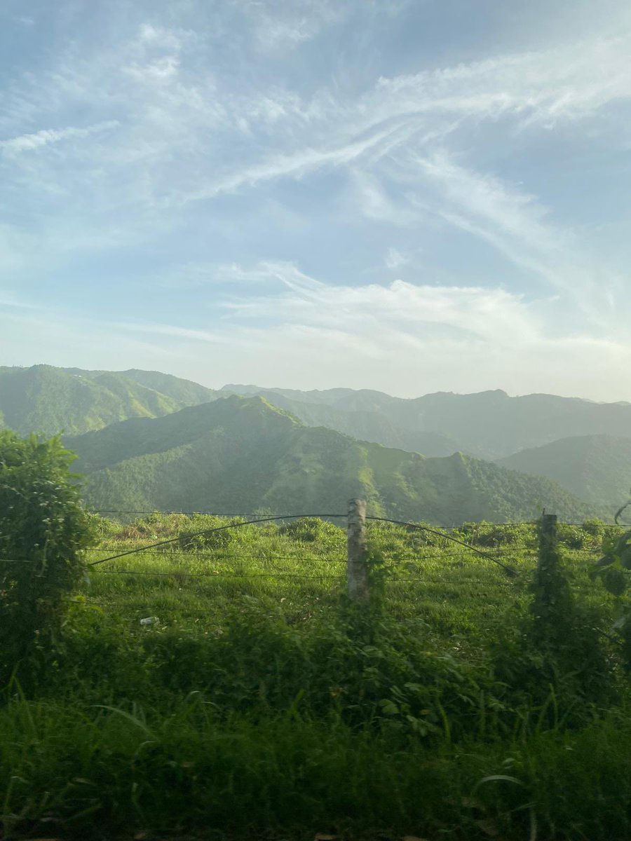 Donde están los cocos?