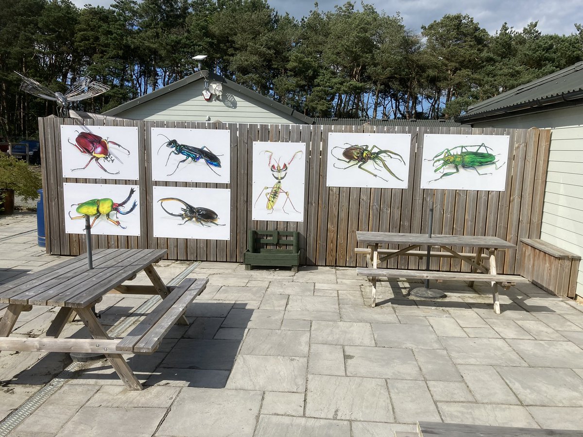 Vet Invert Soc tweet media