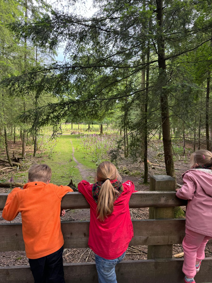 sw3lbp's tweet image. De bevers van de #Middagkolonie zijn vandaag naar de speelweide geweest. Ook hebben ze natuurlijk nog even hertjes en zwijntjes gespot! 🦌 🐗 #scouting #sw3lbp #apeldoorn #bevers #zwijnzijnisfijn #spelen #bergenbos