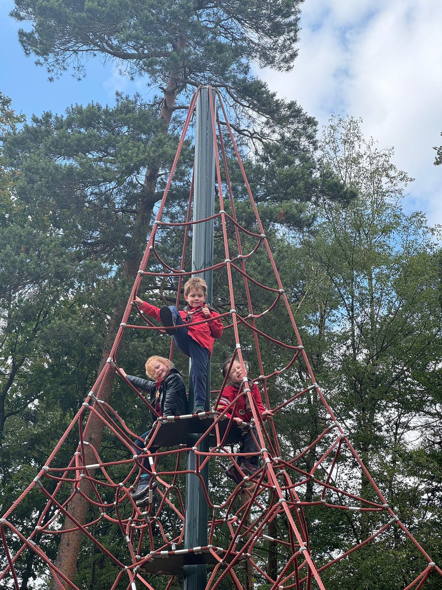 sw3lbp's tweet image. De bevers van de #Middagkolonie zijn vandaag naar de speelweide geweest. Ook hebben ze natuurlijk nog even hertjes en zwijntjes gespot! 🦌 🐗 #scouting #sw3lbp #apeldoorn #bevers #zwijnzijnisfijn #spelen #bergenbos