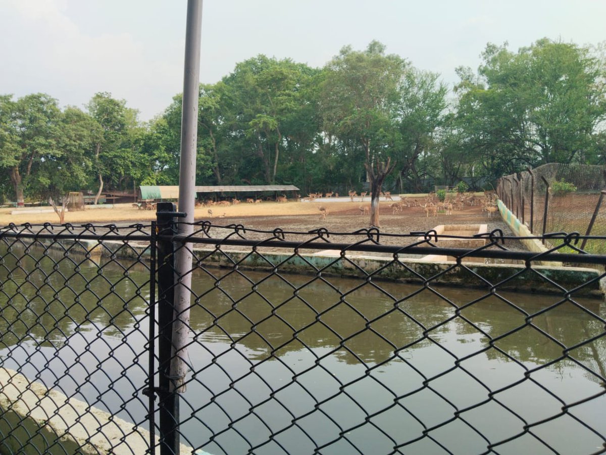 I recently visited Matri Park in Durg and was appalled to see wild animals imprisoned in deplorable conditions. This is unacceptable! Please take immediate action to free them and ensure their safety. <a href="/cgforest/">CG Forest Department</a> <a href="/bhupeshbaghel/">Bhupesh Baghel</a> #wildlife #WildlifeProtection #StopWildlifeAbuse