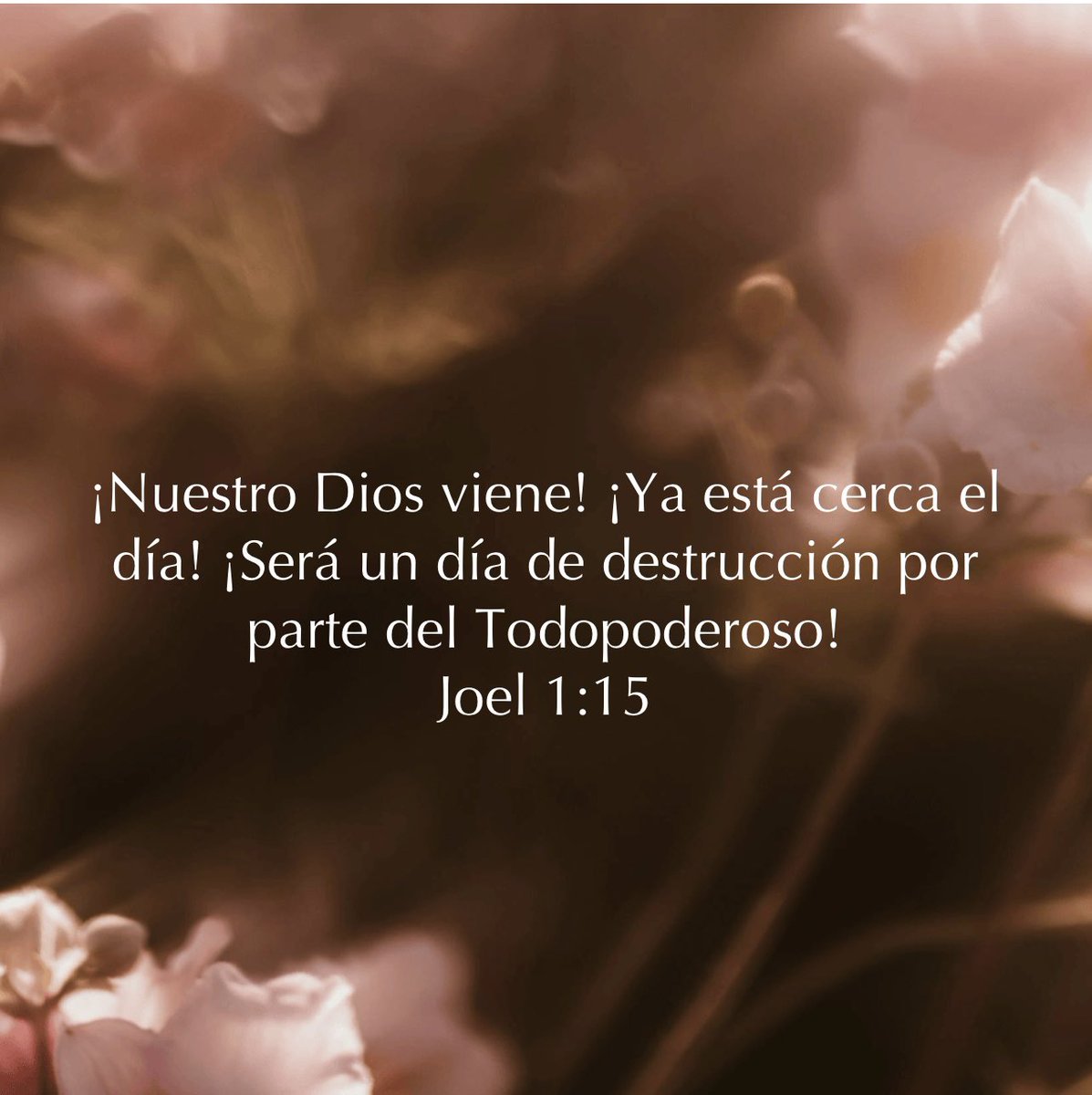 GuzmanSDaniel's tweet photo. La crisis nos llama a la reflexión y al arrepentimiento, igual que la plaga de langostas en tiempos de Joel. Unámonos en ORACION y AYUNO , buscando la MISERICORDIA de Dios. La ESPERANZA nace del ARREPENTIMIENTO sincero. ¡El día de Jehová está cerca!#rpsp #Joel1 https://t.co/WZYFmii1br