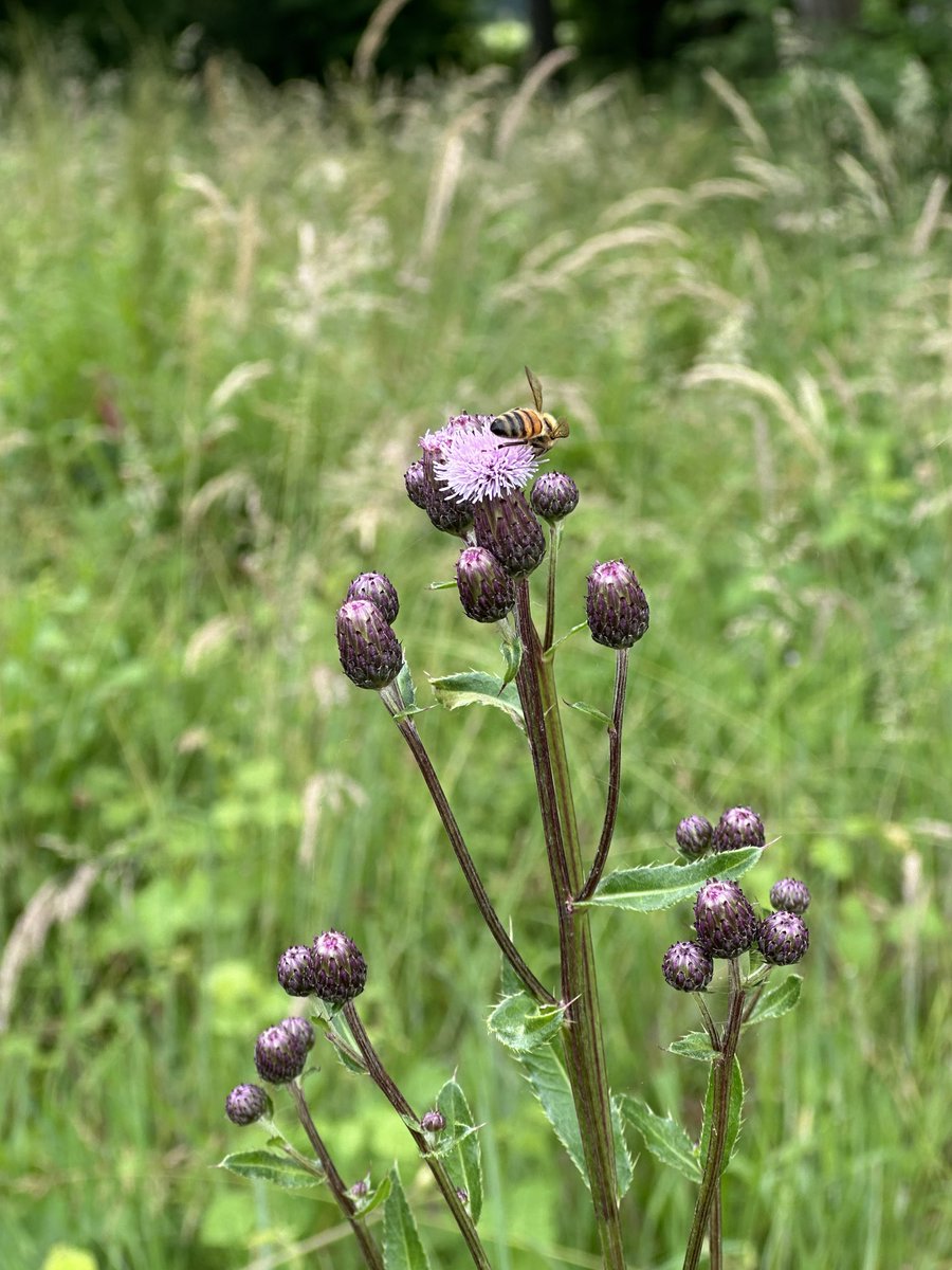 Alves Elisabete (@eaxpereira) on Twitter photo 