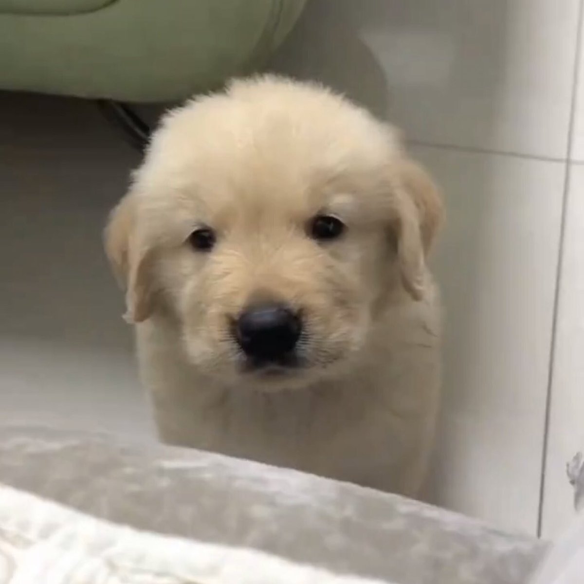 ขอนอนด้วยค่าบ
ก้ไปนอนกับเกมสิ