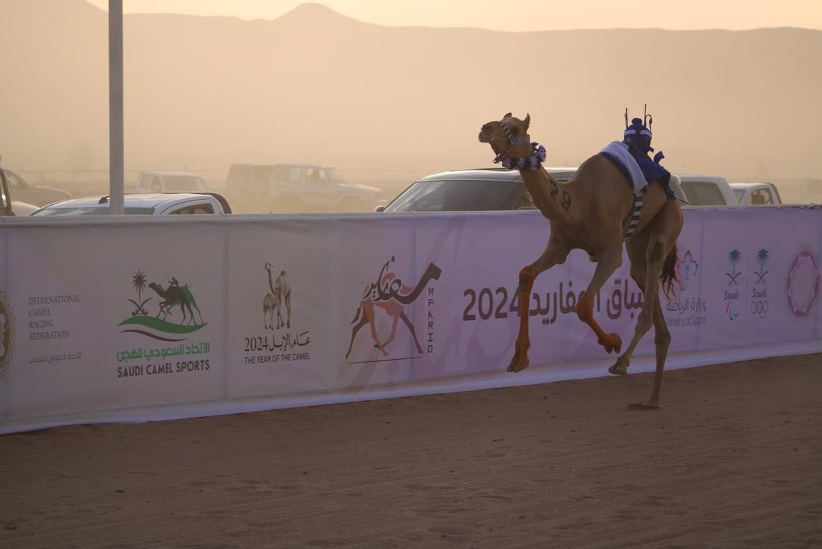 scrfSA's tweet photo. السباق الأول من المرحلة الأولى لـ #سباق_المفاريد 2024 🐪

🏁| 103 شوط
📍| ميدان (الطائف-تبوك-حائل-نجران)
📸| صور متنوعة من المنافسات ⬇️ https://t.co/nFE1tgkZPR